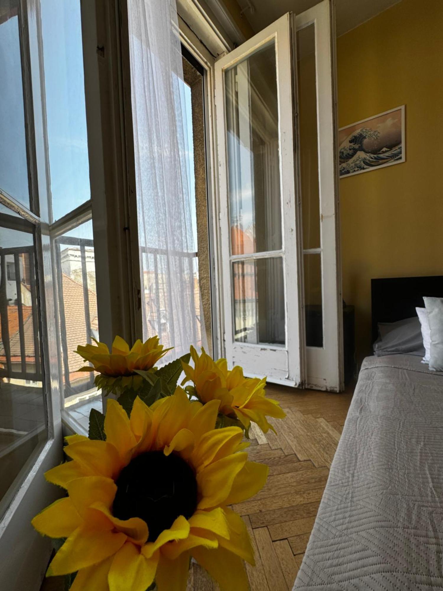 Extralarge Queen Room In The Heart Of Bratislava With Terrace Exterior photo